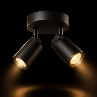 Споти