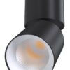 Точковий світильник Olvin Plus 36006