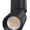 Точковий світильник Olvin Plus 36007