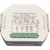 Tuya розумний WIFE димер модуль 2*100w канала Olvin Plus 33037
